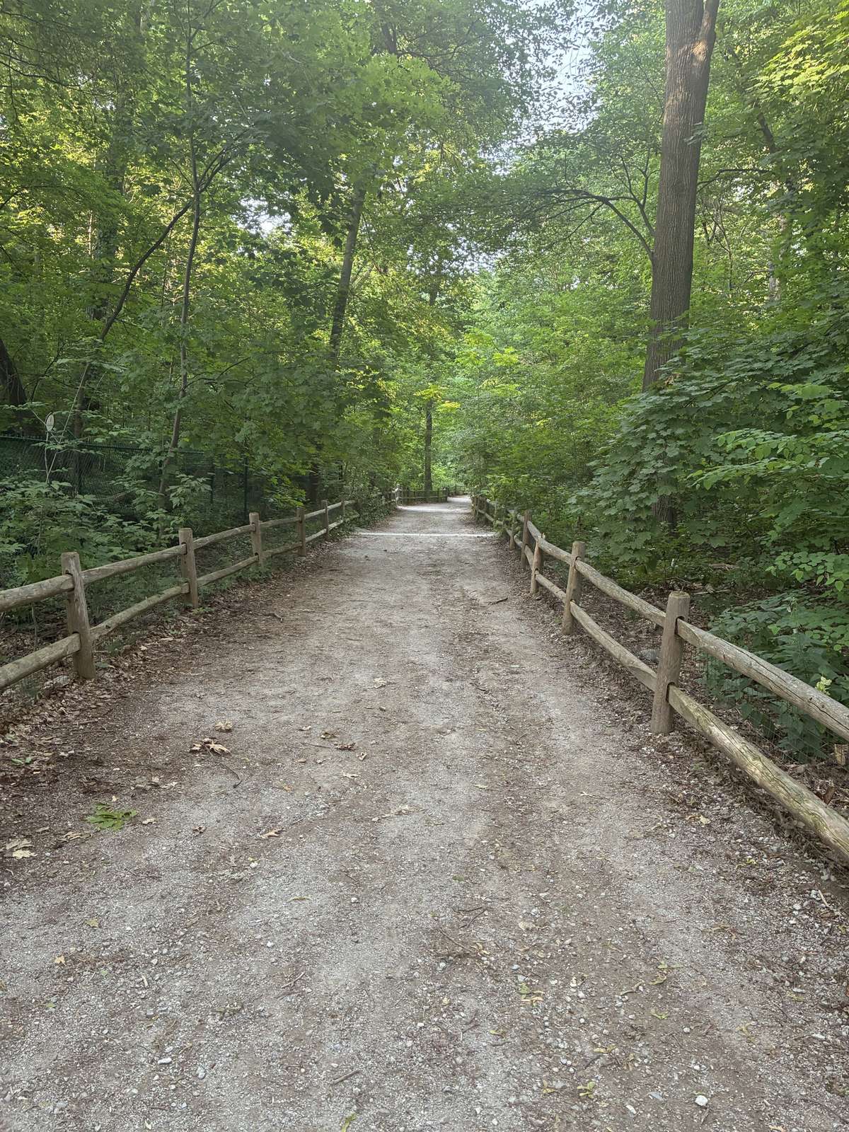 Trail reset